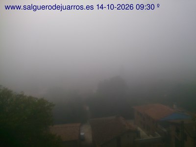 Recorre hacia atrás las últimas 24 horas
