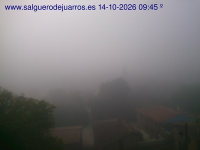 Recorre hacia atrás las últimas 24 horas
