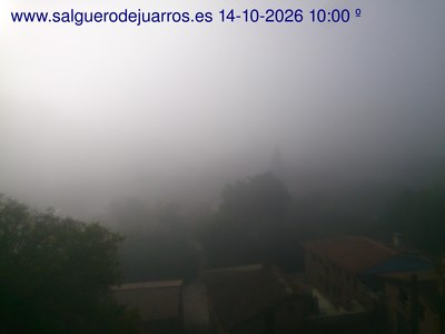 Recorre hacia atrás las últimas 24 horas
