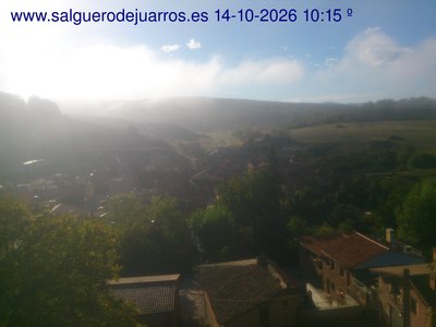Recorre hacia atrás las últimas 24 horas
