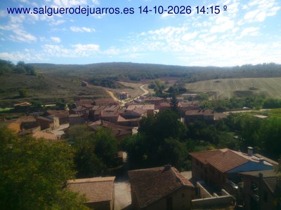 Recorre hacia atrás las últimas 24 horas
