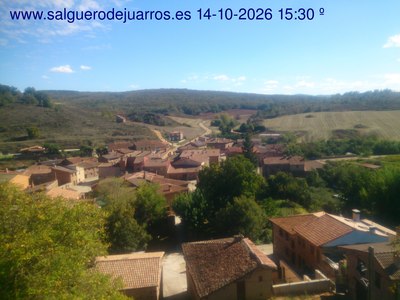Recorre hacia atrás las últimas 24 horas
