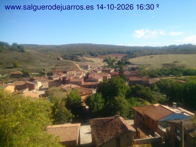 Recorre hacia atrás las últimas 24 horas
