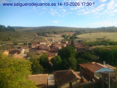 Recorre hacia atrás las últimas 24 horas

