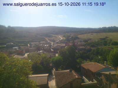Recorre hacia atrás las últimas 24 horas
