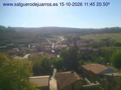 Recorre hacia atrás las últimas 24 horas
