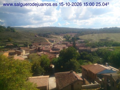 Recorre hacia atrás las últimas 24 horas
