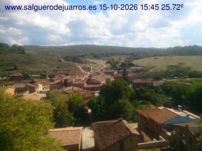 Recorre hacia atrás las últimas 24 horas

