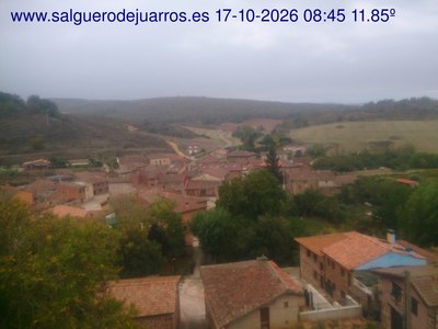 Recorre hacia atrás las últimas 24 horas
