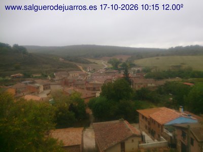 Recorre hacia atrás las últimas 24 horas
