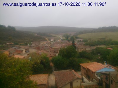 Recorre hacia atrás las últimas 24 horas
