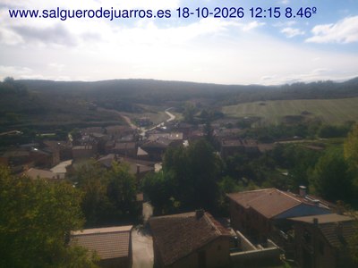 Recorre hacia atrás las últimas 24 horas
