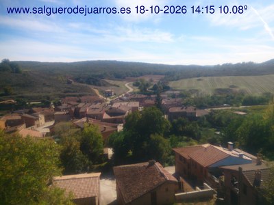 Recorre hacia atrás las últimas 24 horas
