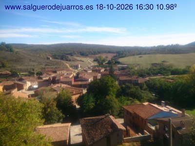 Recorre hacia atrás las últimas 24 horas
