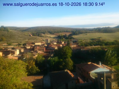 Recorre hacia atrás las últimas 24 horas
