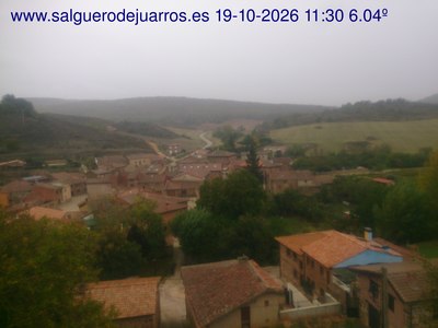 Recorre hacia atrás las últimas 24 horas
