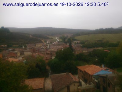 Recorre hacia atrás las últimas 24 horas
