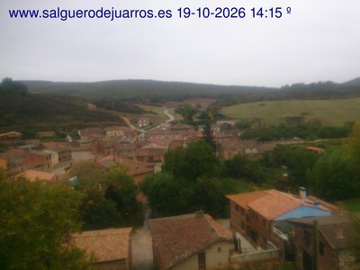 Recorre hacia atrás las últimas 24 horas
