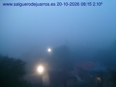 Recorre hacia atrás las últimas 24 horas

