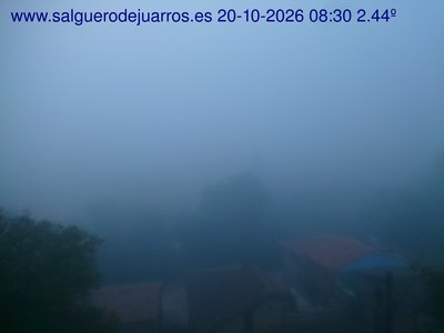 Recorre hacia atrás las últimas 24 horas
