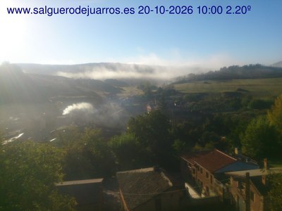 Recorre hacia atrás las últimas 24 horas
