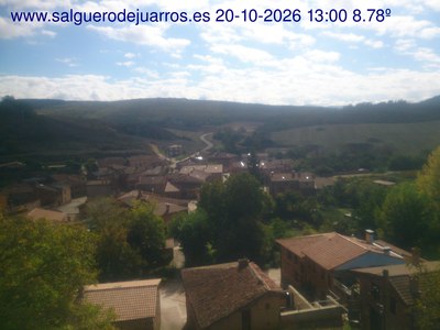 Recorre hacia atrás las últimas 24 horas
