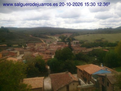 Recorre hacia atrás las últimas 24 horas
