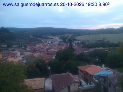 Recorre hacia atrás las últimas 24 horas
