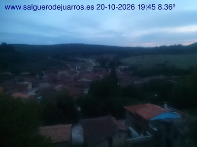 Recorre hacia atrás las últimas 24 horas
