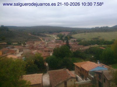 Recorre hacia atrás las últimas 24 horas
