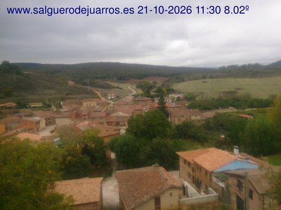Recorre hacia atrás las últimas 24 horas
