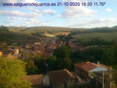 Recorre hacia atrás las últimas 24 horas
