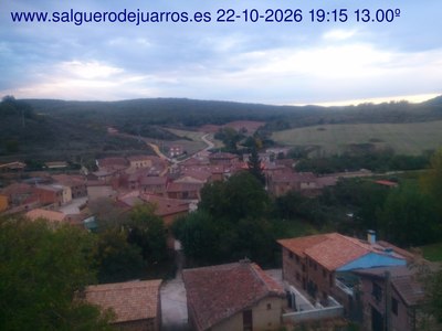 Recorre hacia atrás las últimas 24 horas
