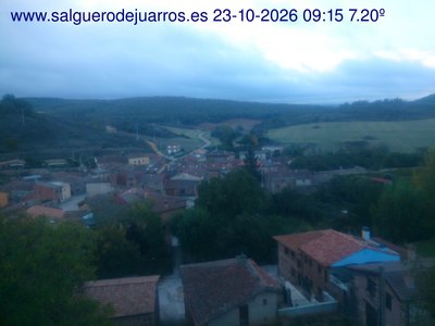 Recorre hacia atrás las últimas 24 horas
