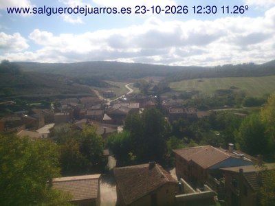 Recorre hacia atrás las últimas 24 horas
