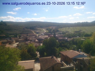 Recorre hacia atrás las últimas 24 horas
