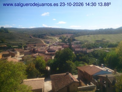Recorre hacia atrás las últimas 24 horas
