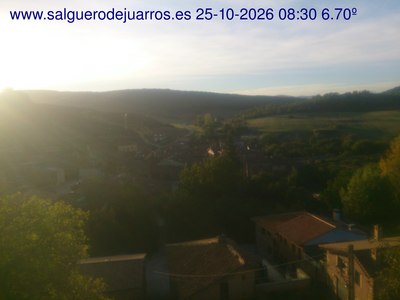 Recorre hacia atrás las últimas 24 horas
