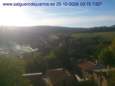 Recorre hacia atrás las últimas 24 horas
