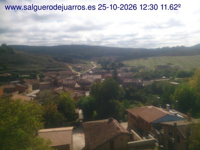 Recorre hacia atrás las últimas 24 horas
