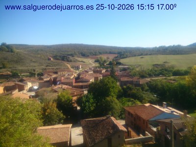 Recorre hacia atrás las últimas 24 horas
