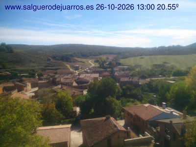 Recorre hacia atrás las últimas 24 horas
