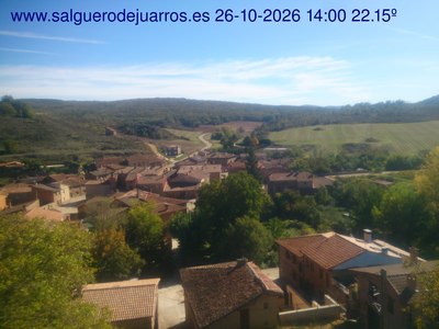 Recorre hacia atrás las últimas 24 horas
