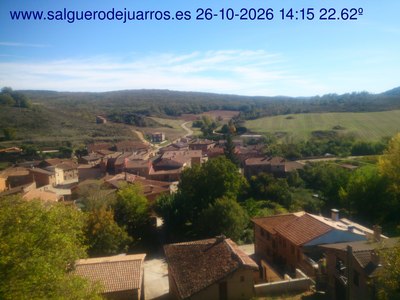 Recorre hacia atrás las últimas 24 horas
