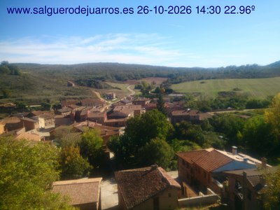 Recorre hacia atrás las últimas 24 horas
