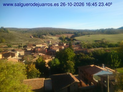 Recorre hacia atrás las últimas 24 horas
