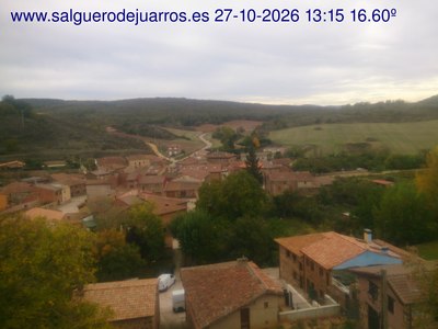 Recorre hacia atrás las últimas 24 horas
