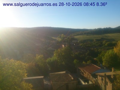 Recorre hacia atrás las últimas 24 horas
