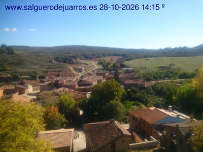 Recorre hacia atrás las últimas 24 horas
