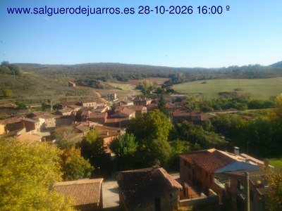 Recorre hacia atrás las últimas 24 horas
